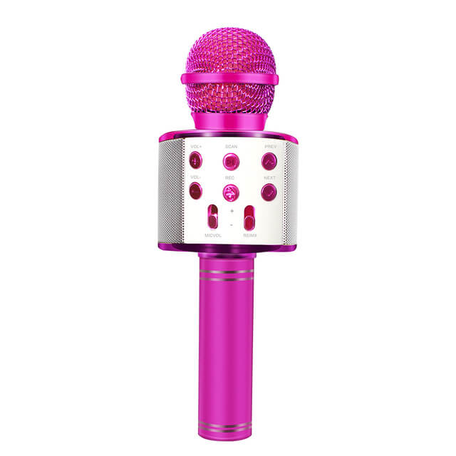 Microfono Parlante Karaoke Ws-858 Inalambrico Bluetooth